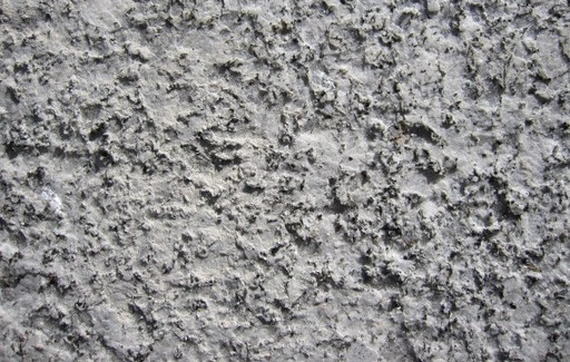 Dalle granit Gris tragal