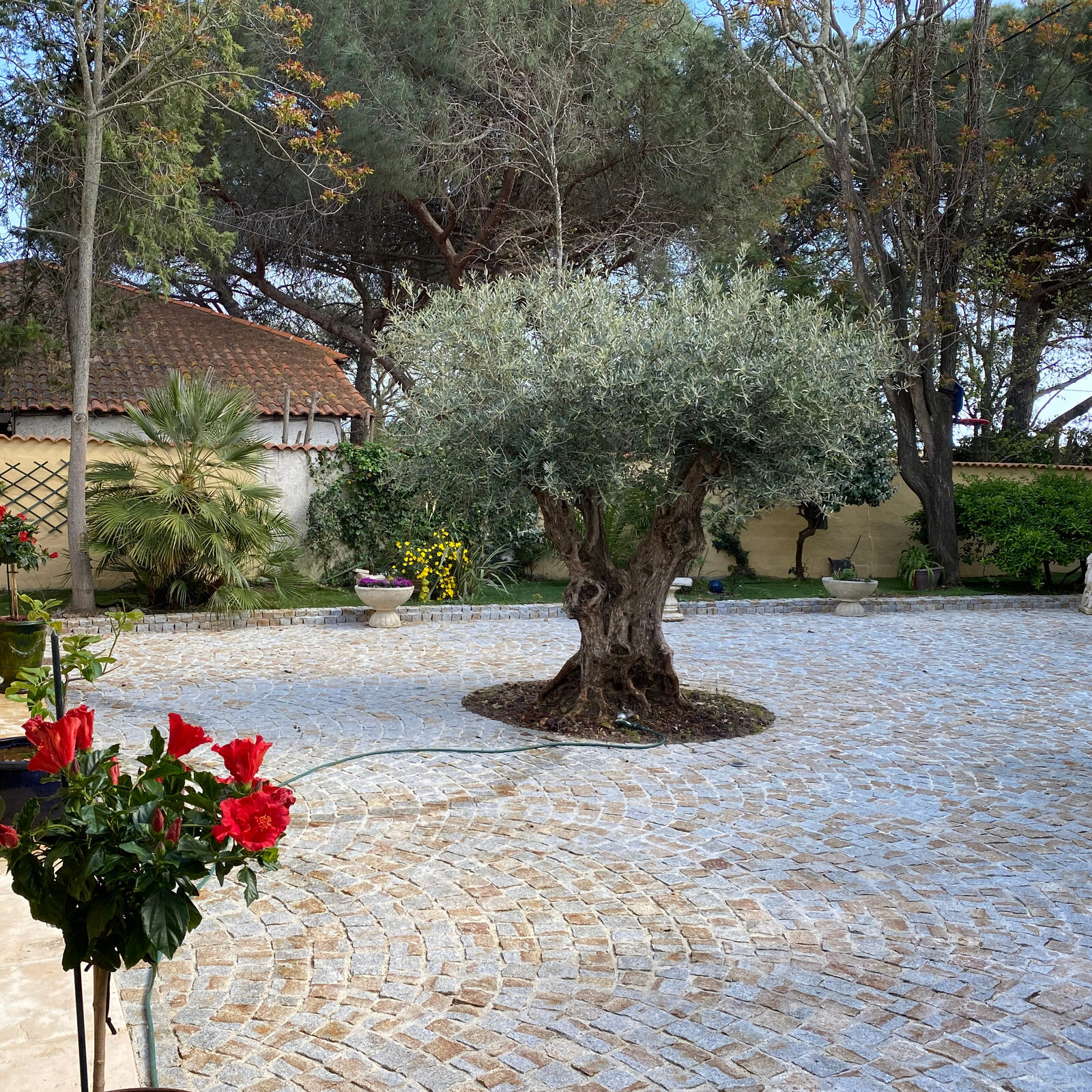 Pavés granit mixtes bordure double